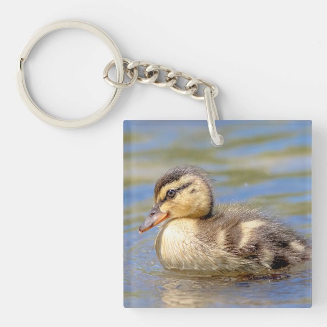 Mallard Duckling Keychain (Front)