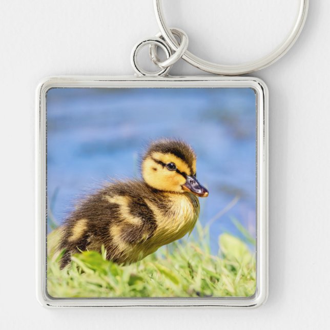 Mallard Duckling Keychain (Front)