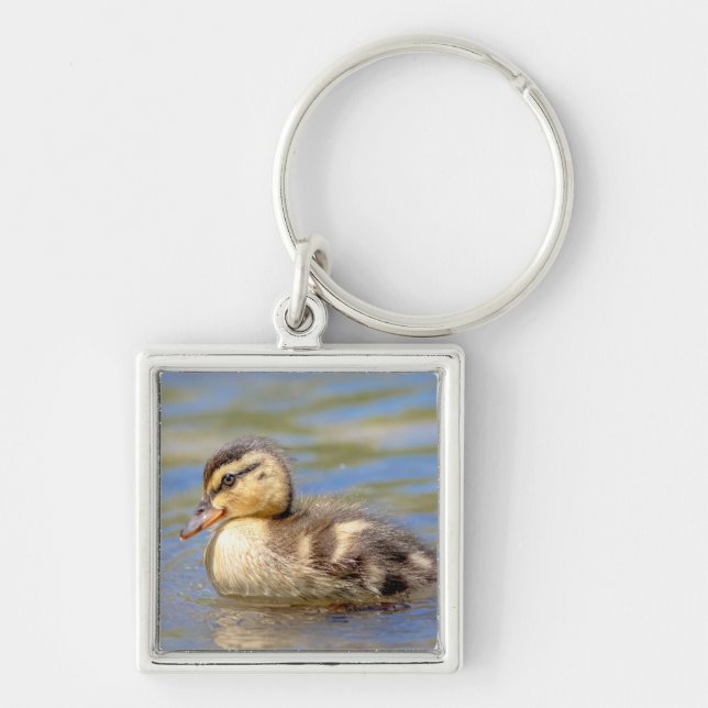 Mallard Duckling Keychain (Front)