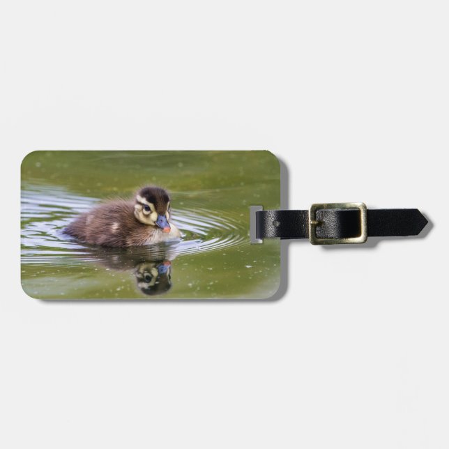 Mallard Duckling Luggage Tag (Front Horizontal)
