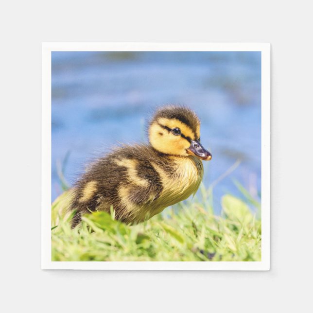 Mallard Duckling Napkin (Front)