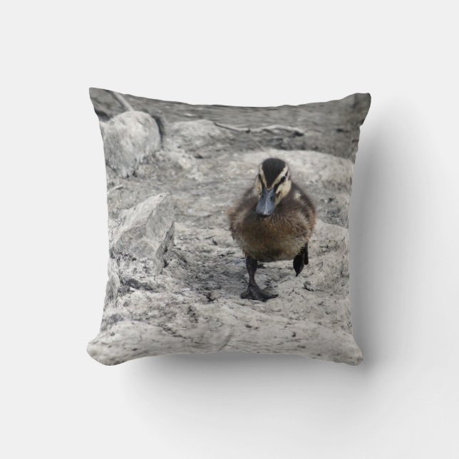 Mallard Duckling Photo Throw Pillow (Front)