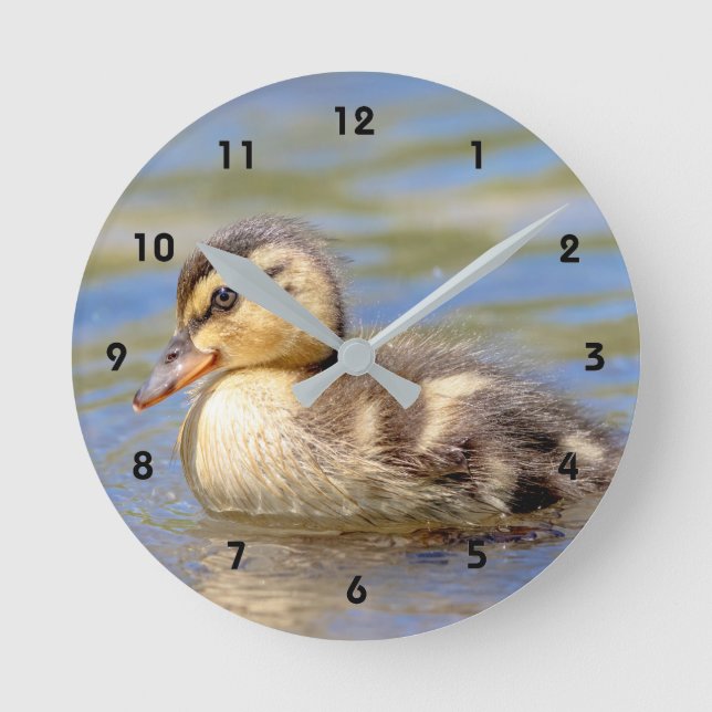 Mallard Duckling Round Clock (Front)
