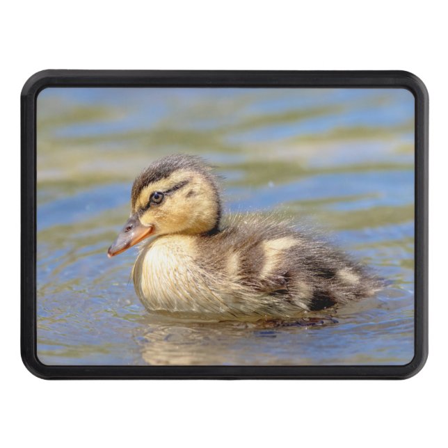 Mallard Duckling Trailer Hitch Cover (Front)