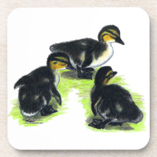 Mallard Ducklings Coaster