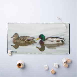 Mallard Ducks