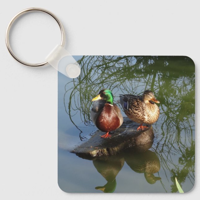Mallard Ducks #2 Keychain (Front)