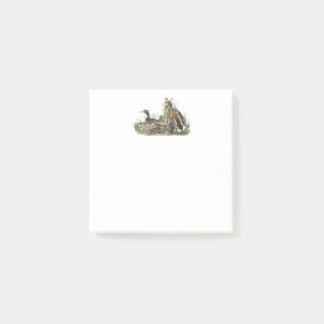 Mallard Ducks 3x3 Notes
