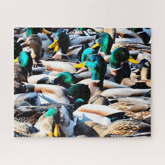 Mallard Ducks Embouteillage Jam Jigsaw Puzzle (Horizontal)
