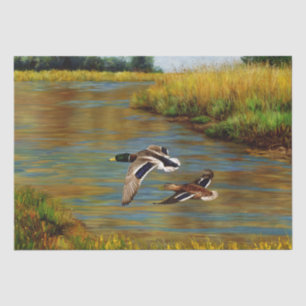 Mallard Ducks Flying Birds Tissue Paper