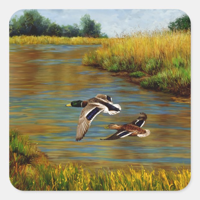 Mallard Ducks Flying Over Pond Square Sticker (Front)