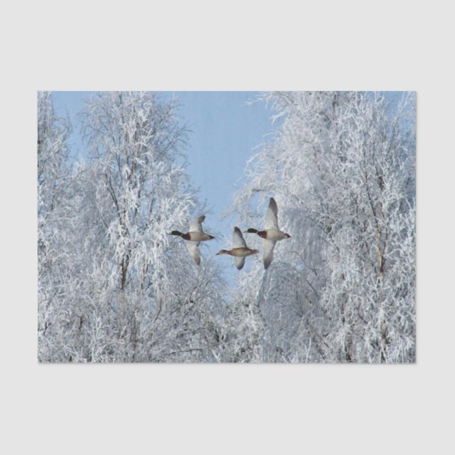 Mallard Ducks Flying Snow Photo Tissue Paper (Front)