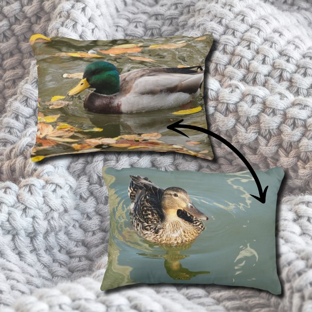 Mallard Ducks in the Water in Fall Scenic Accent Pillow (Creator Uploaded)