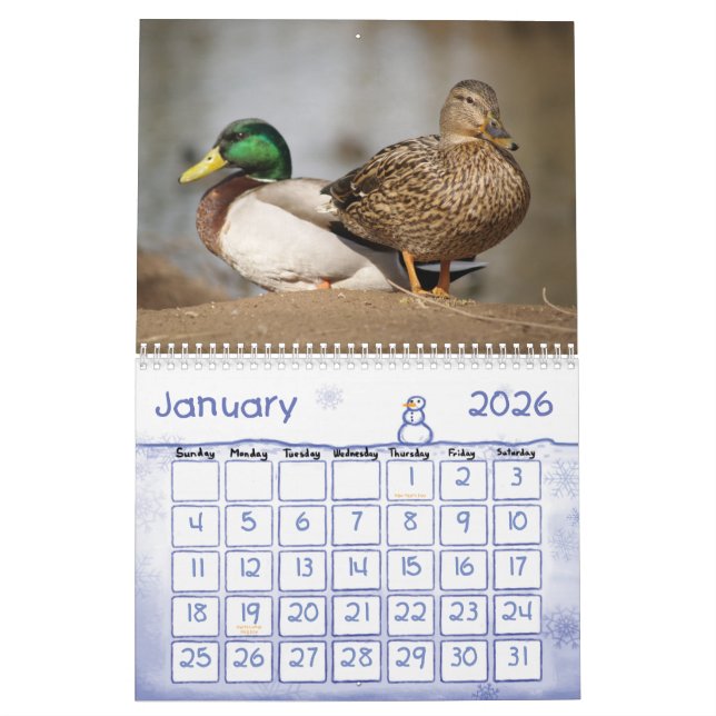Mallard Ducks Nature Calendar (Jan 2026)