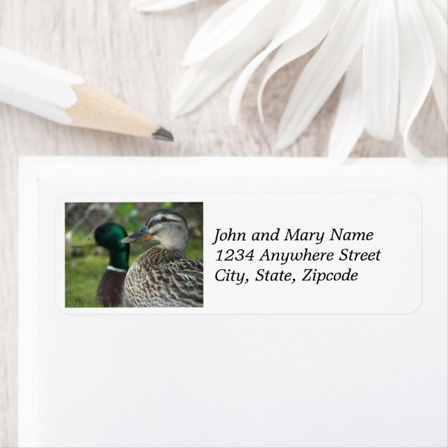 Mallard Ducks Nature Photo Return Address (Insitu)