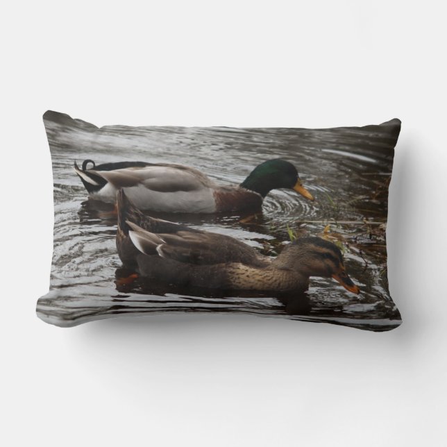 Mallard Ducks on a Pond Photo Lumbar Pillow (Front)