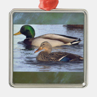 Mallard Ducks Ornament 