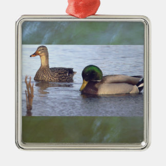 Mallard Ducks Ornament 