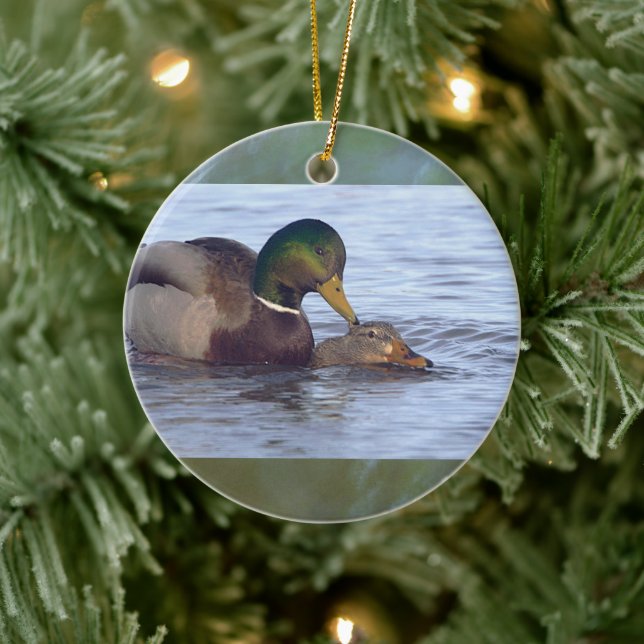 Mallard Ducks Ornament  (Tree)