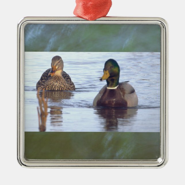 Mallard Ducks Ornament  (Front)