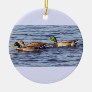 Mallard Ducks Photo Ornament