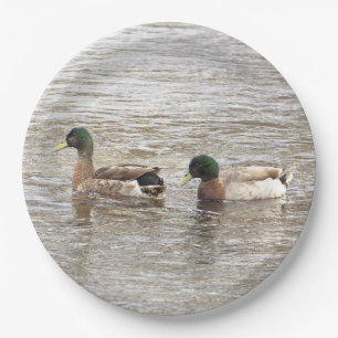 Mallard Ducks Photo Paper Plates