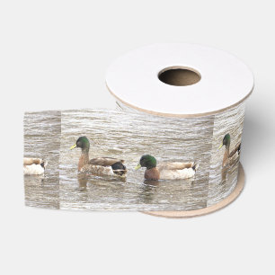 Mallard Ducks Photo Ribbon Grosgrain Ribbon