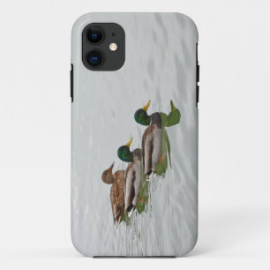 Mallard ducks print iphone 5 case