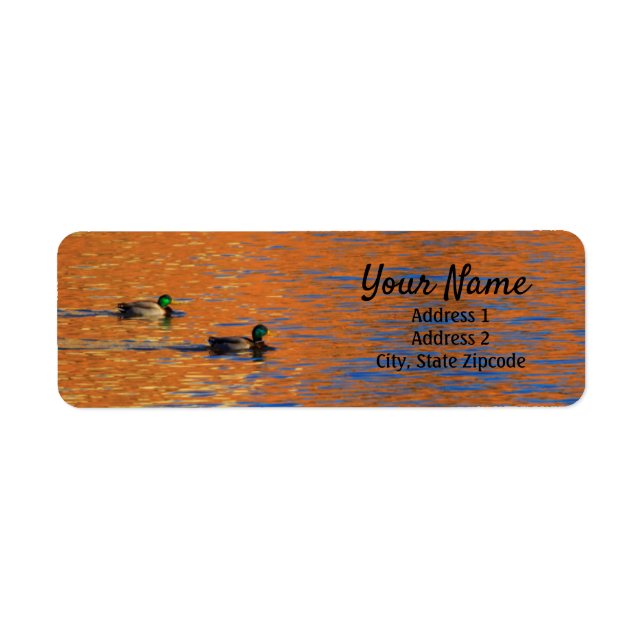 Mallard Ducks Reflection Address Label (Front)