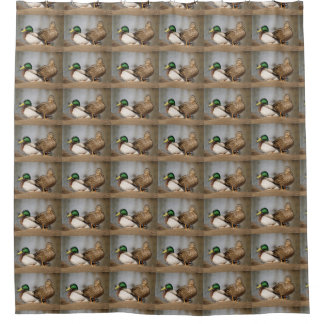 Mallard Ducks Shower Curtain