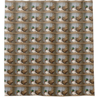 Mallard Ducks Shower Curtain