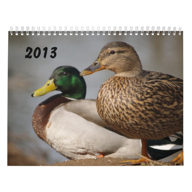 Mallard Ducks Sportsmen Calendar 2014 (Cover)