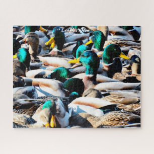 Mallard Ducks Traffic Jam Jigsaw Puzzle