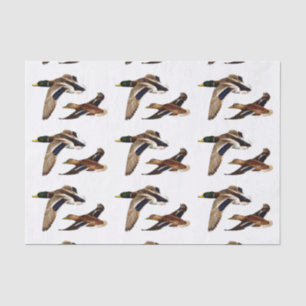 Mallard Ducks U-Pick Background Colour Tissue Paper