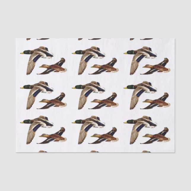Mallard Ducks U-Pick Background Colour Tissue Paper (Front)