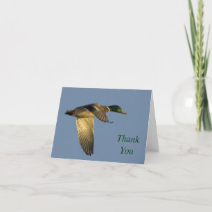 mallard flying in open sky thank you note card