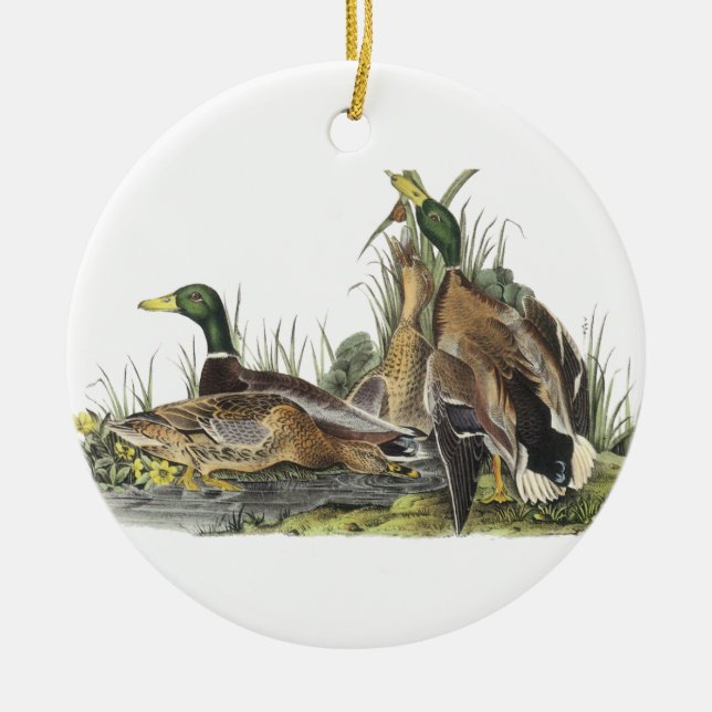 Mallard, John Audubon Ceramic Ornament (Front)