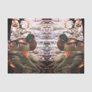 Mallard Mirror Tissue Paper