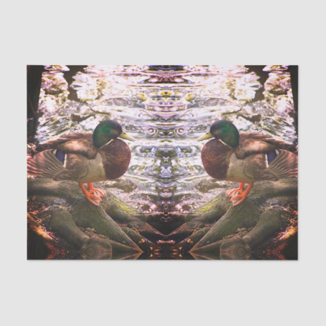 Mallard Mirror Tissue Paper (Front)