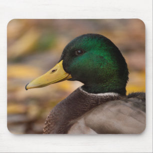 Mallard Mouse Pad