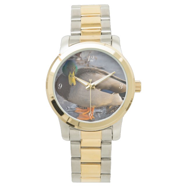 Mallard On Ice Watch (Front)