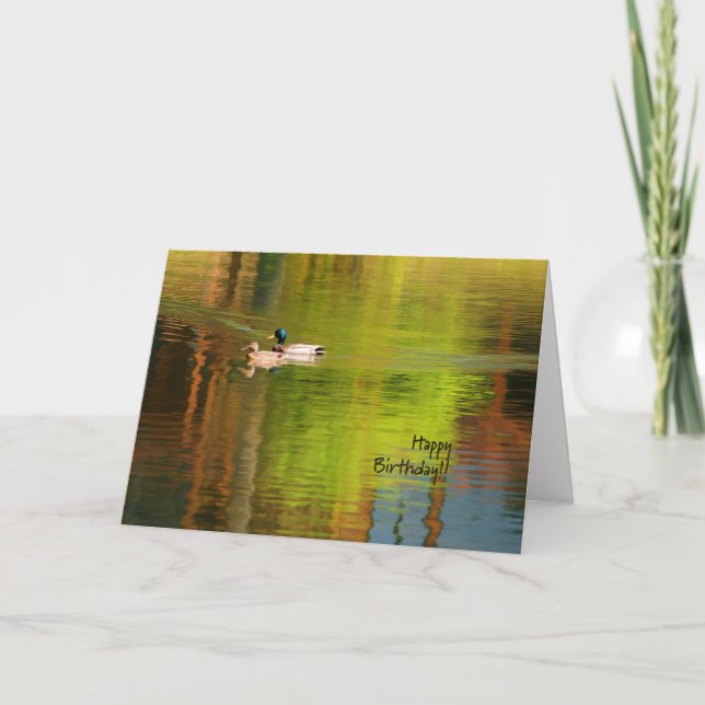 Mallard Pair - Birthday Card (Front)