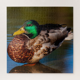 Mallard Portrait  Jigsaw Puzzle