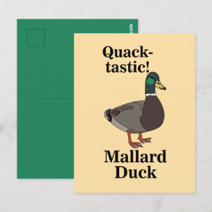 Mallard Quack-Tastic Duck Postcard