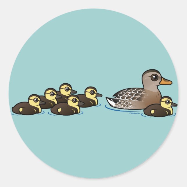 Mallard & six ducklings classic round sticker (Front)