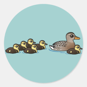 Mallard & six ducklings classic round sticker