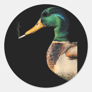 Mallard smoking cigarette meme funny mallard duck classic round sticker