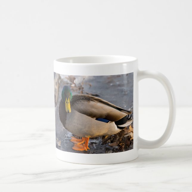 Mallard Sur La Mug De Café Glaciaire (Droite)