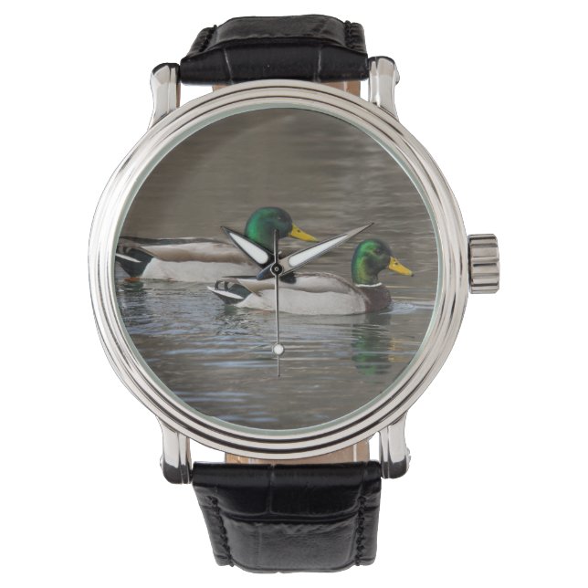 Mallard Watch (Front)