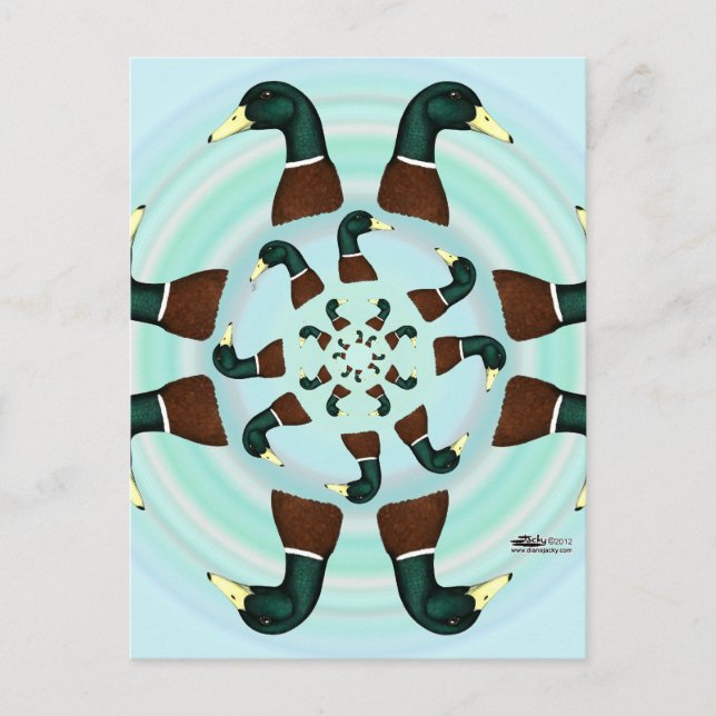 Mallards Galore! Postcard (Front)